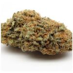 Шишки AK47  (Гидропоника, Бошка) VHQ в Котовске