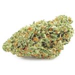 Шишки OG Kush  (Гидропоника, бошки) VHQ в Котовске